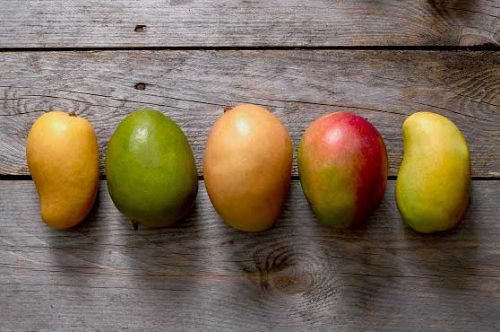 Разные сорта манго выглядят по-разному