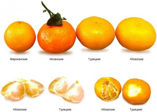 Разновидности мандаринов по стране произрастания
