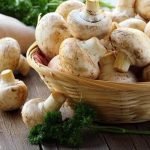 Сколько времени можно хранить грибы в холодильнике?