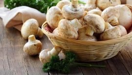 Сколько времени можно хранить грибы в холодильнике и морозилке? Сроки и правила хранения